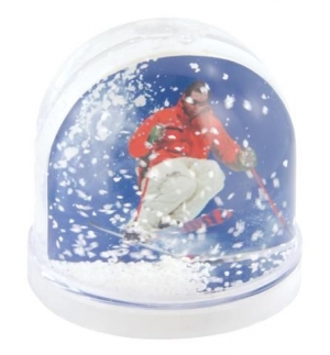 sg500_snow_globe_small.jpg