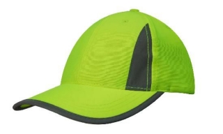 3029_fluro_green_with_silver.jpg